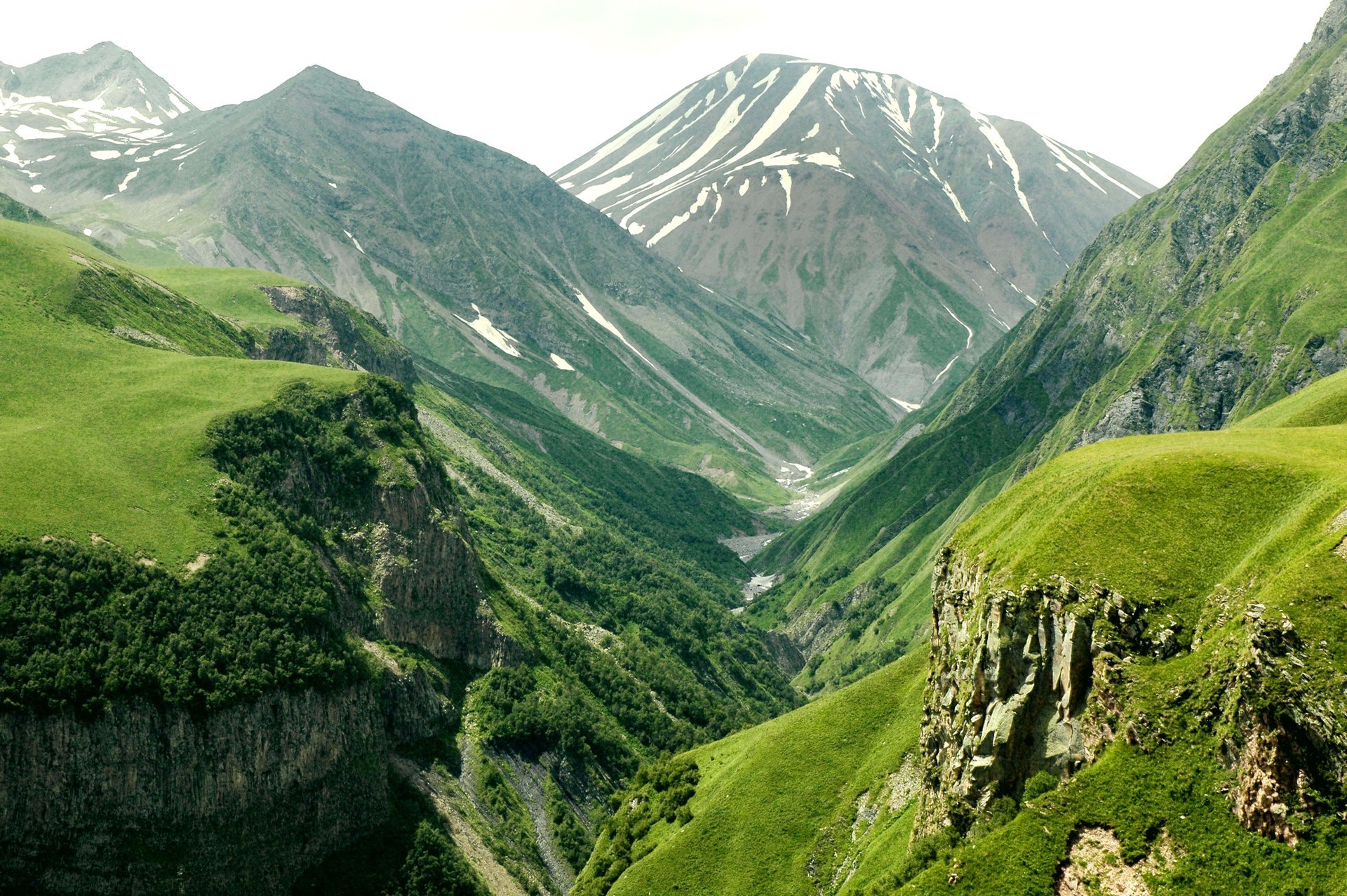 montagnes vallée altitude pente forêt arbres espace