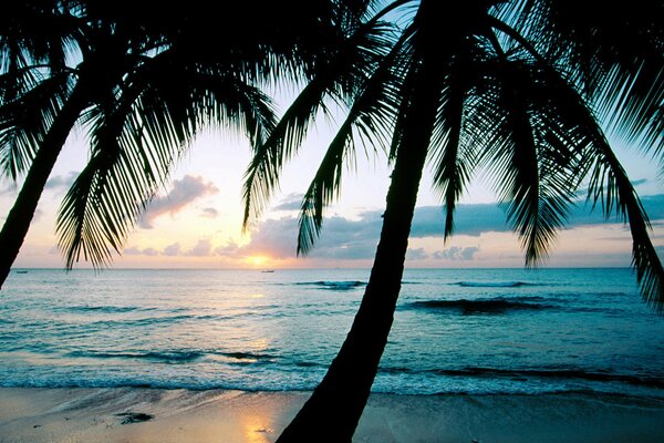 Tramonto sull oceano alle Barbados