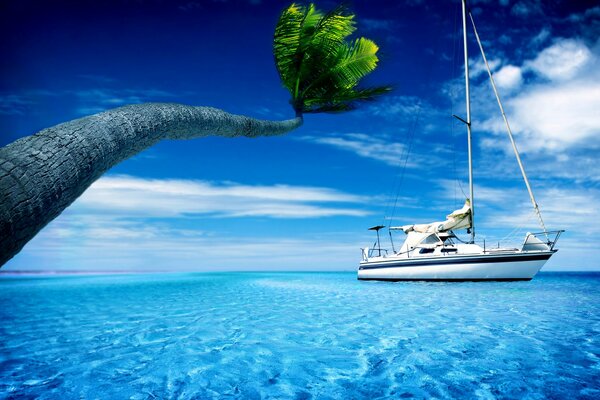 A palm tree hangs in the sea, where a yacht is sailing