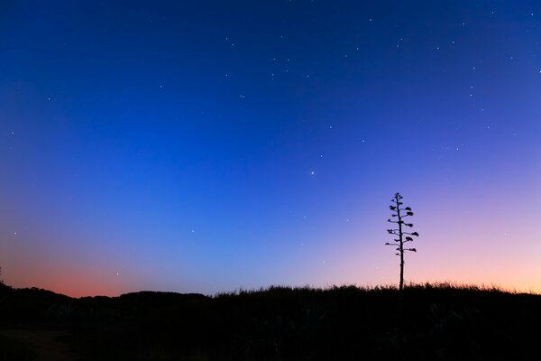 Starry sky before dawn