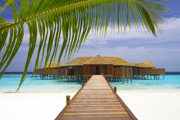 Sandy beach on the ocean