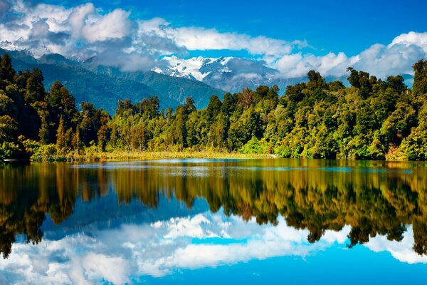 Jezioro las i góry w Nowej Zelandii
