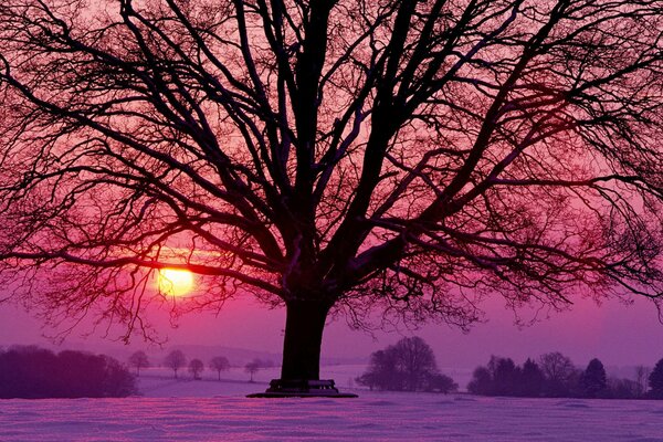 Zima wieczór słońce czerwony serenowy Zachód słońca