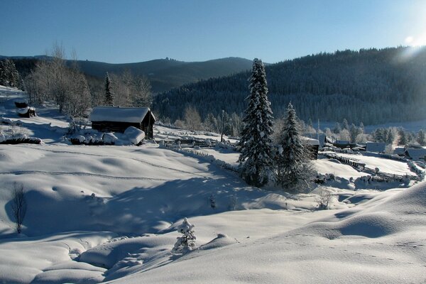 Paysage d hiver avec maison et arbres de Noël