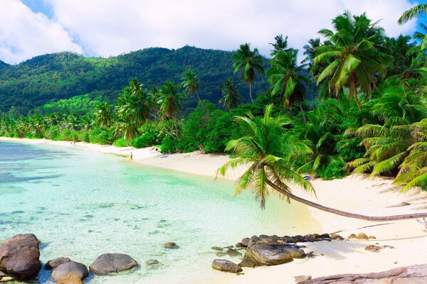 Spiaggia tropicale con sabbia bianca