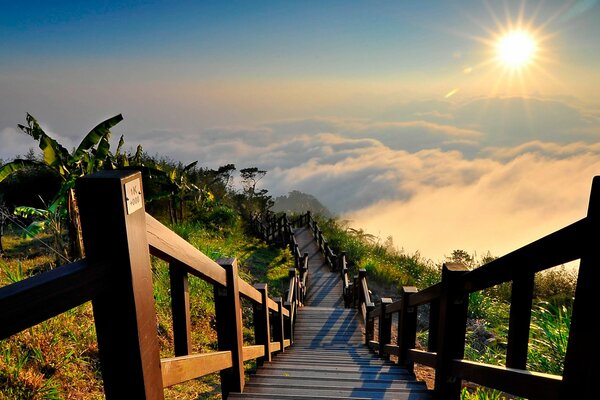 Escalier menant à l étang, éclairé par le soleil à travers le brouillard du matin