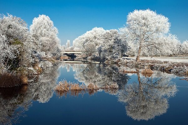 Paisaje de invierno. Río. Escarcha