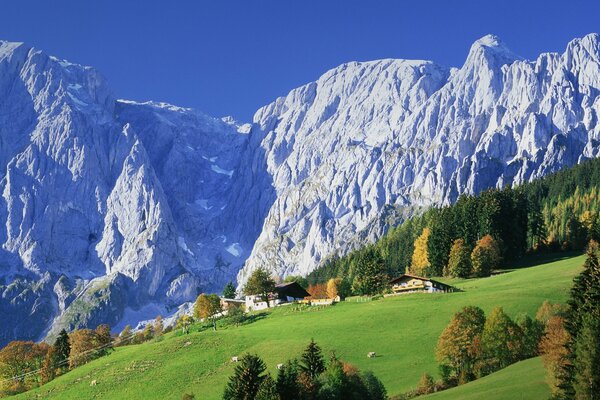 Mountains Houses Trees Forest Nature