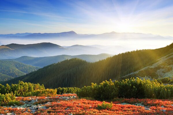 Amanecer en las montañas de la naturaleza