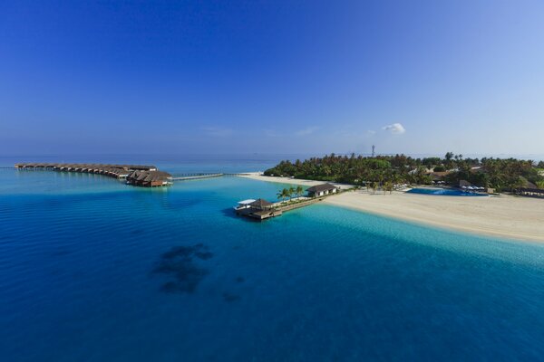 Bonjour des îles moldives directement de la mer