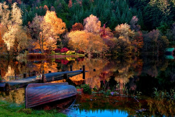 Immagine della natura, della foresta autunnale e del lago con la barca