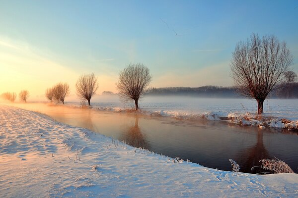 Zimowy poranek nad rzeką