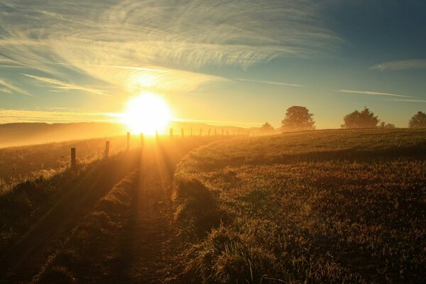 The road on the background of the morning sun