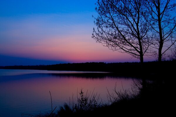 Tranquilla alba rosa e fiume addormentato