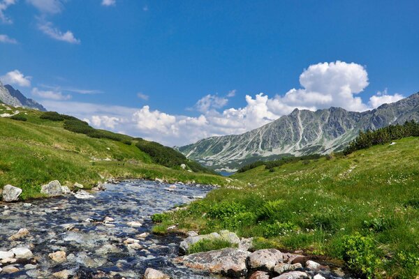 Bild der Bergnatur und des Himmels