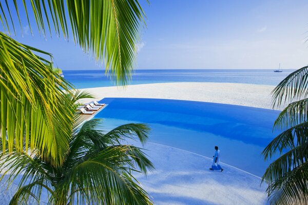 Coin de paradis sur la mer sous les palmiers