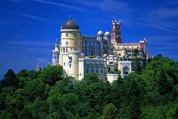 A beautiful palace among greenery and sky