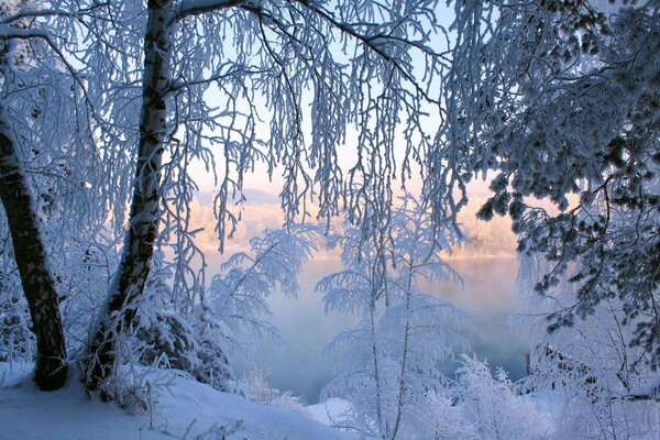 An icy lake and trees in frost