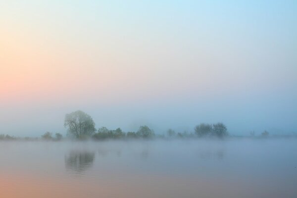 Nebel am Morgen über dem Fluss. Bäume am Horizont