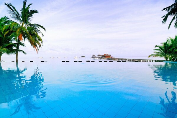 Resort. Swimming pool. Palm trees. Vacation