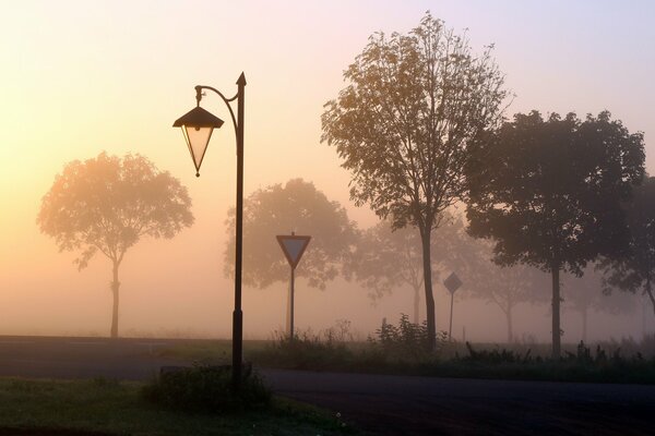 Fog on the road in the early morning