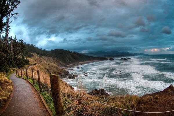 Landscape of the sea with a path and trees