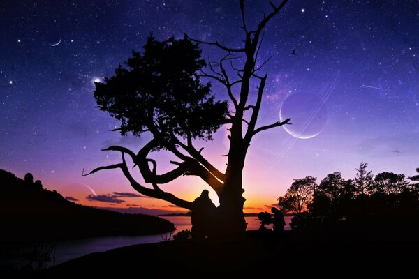 Telescope view of a tree at sunset