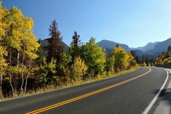 Endless road in autumn near the forest