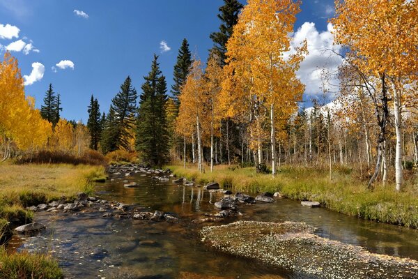 Herbstlandschaft mit Fluss und Bäumen