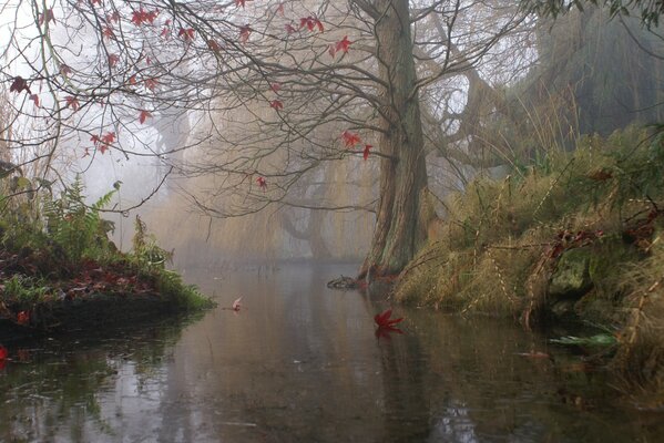 Rzeka w mglistą jesień w Anglii