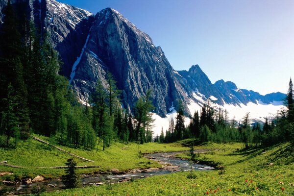 Berge und Bäume sehen am Fluss schön aus