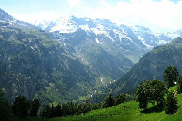 Incredible landscape in summer in the mountains