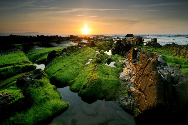 Green rocks standing in the transparent sea against the sunset background