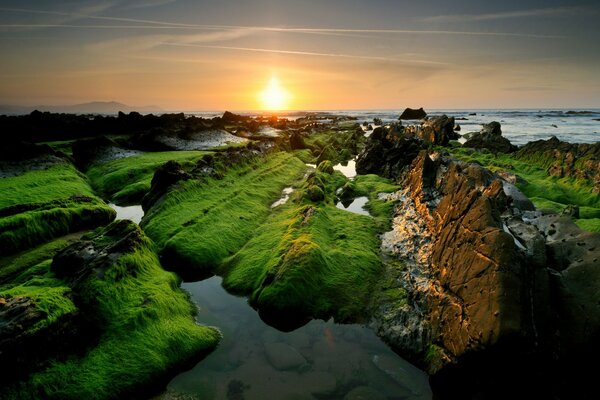 Roches vertes debout dans la mer transparente sur fond de coucher de soleil