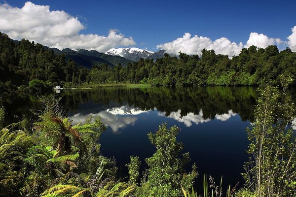 Le nuvole si riflettono nel lago della foresta