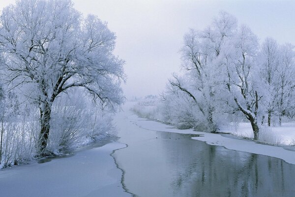 Winterlandschaft und fließender Bach