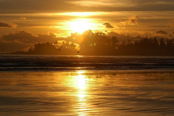 Goldener Sonnenuntergang am Meer