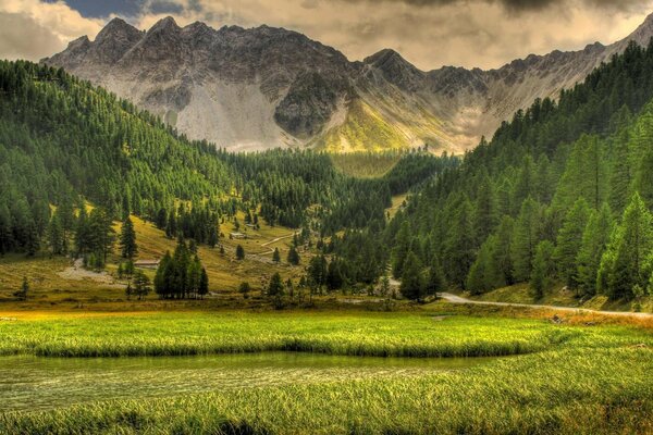 Paesaggio della natura con le montagne e l erba verde