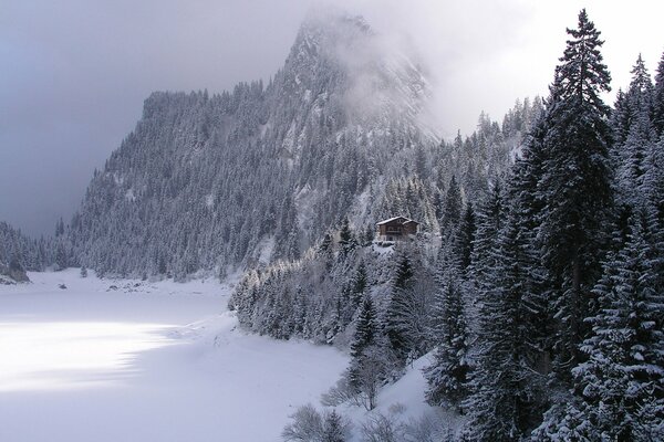 In the mountains, overgrown with forest, there is a lonely house