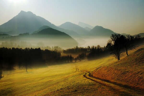 Collines et montagnes sur fond de clairière brumeuse