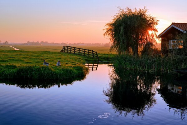 Teich im Hintergrund des Sonnenuntergangs