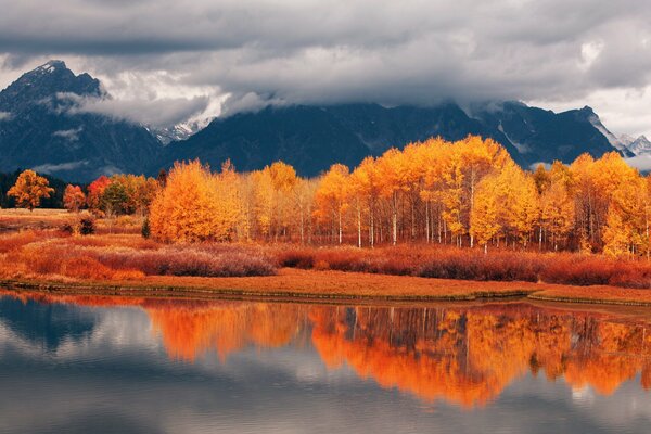 Der Herbst des goldenen Waldes über dem See