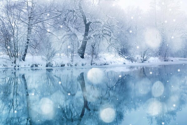 Schneefall am See mit schneebedeckten Bäumen