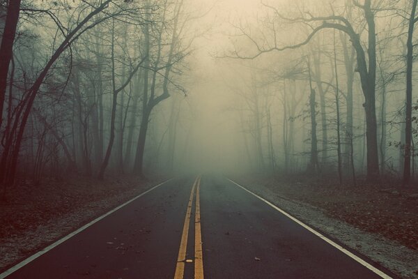 Die Straße ist im Nebel. Wald. Schreck