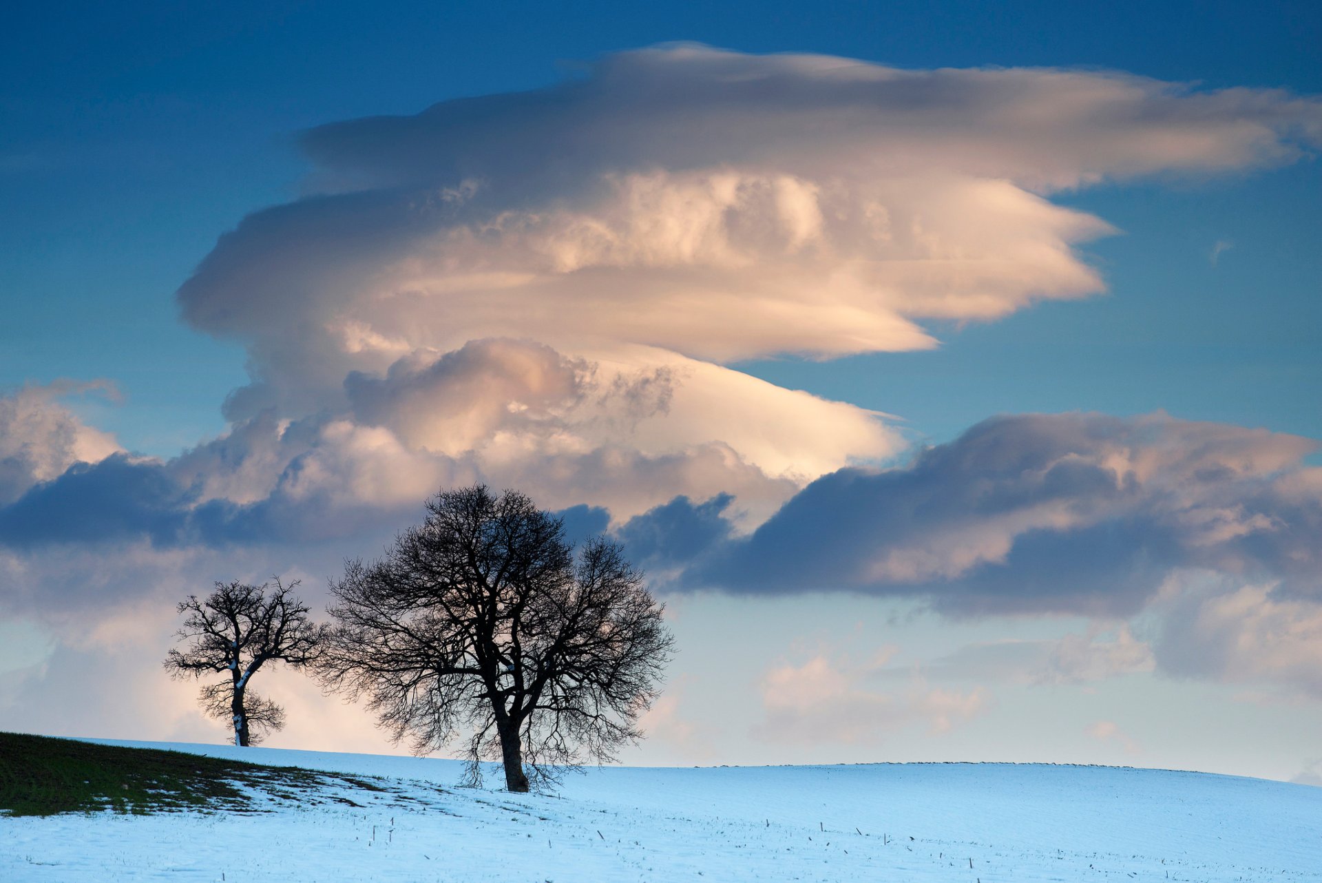 cielo nubes invierno campo nieve árboles