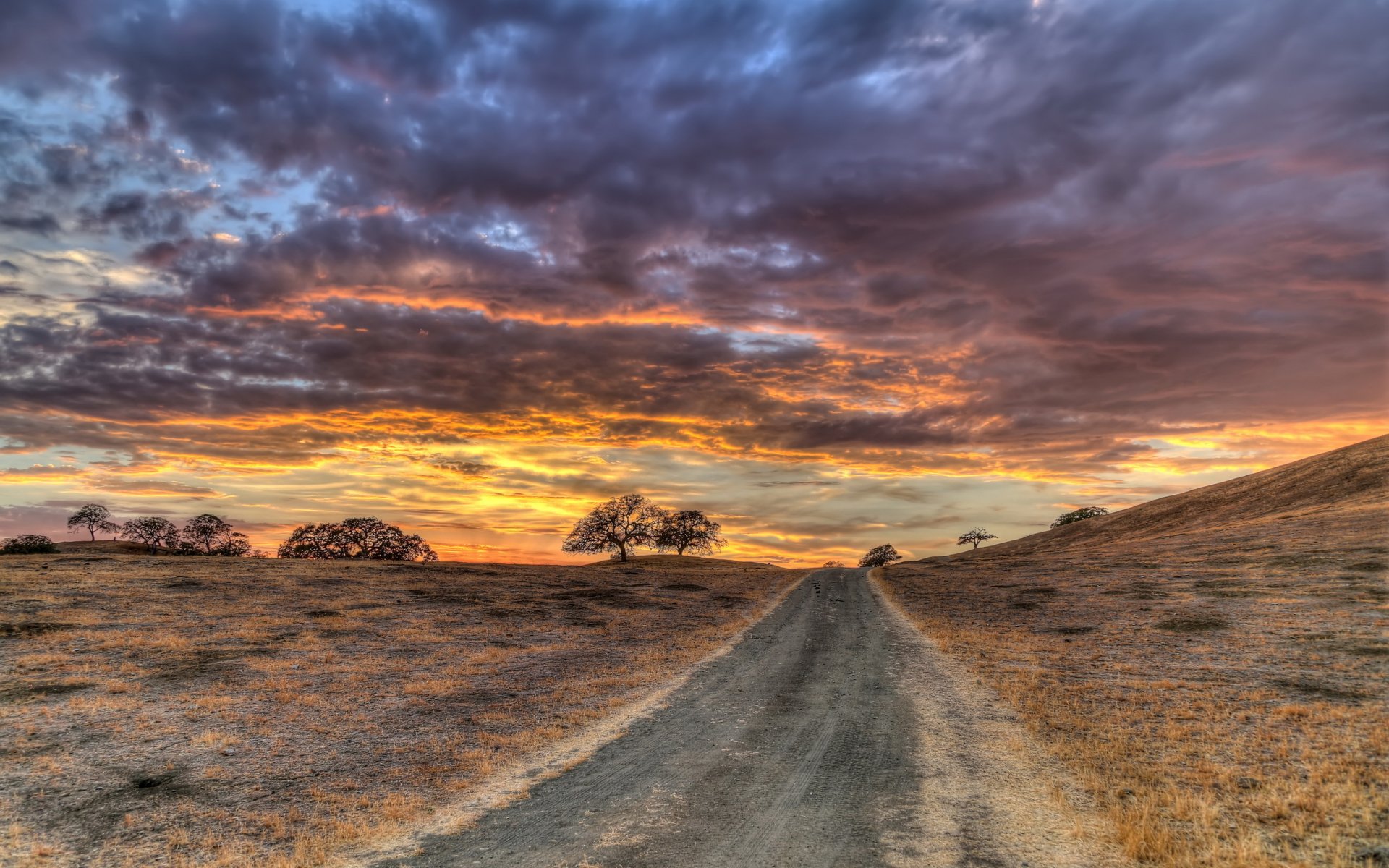 campo cielo camino paisaje