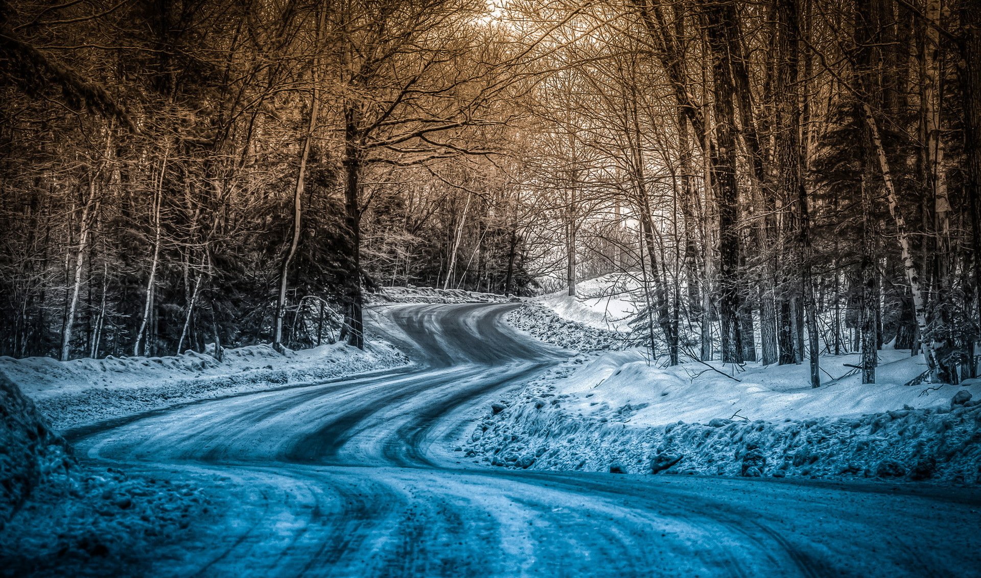 road winter forest landscape