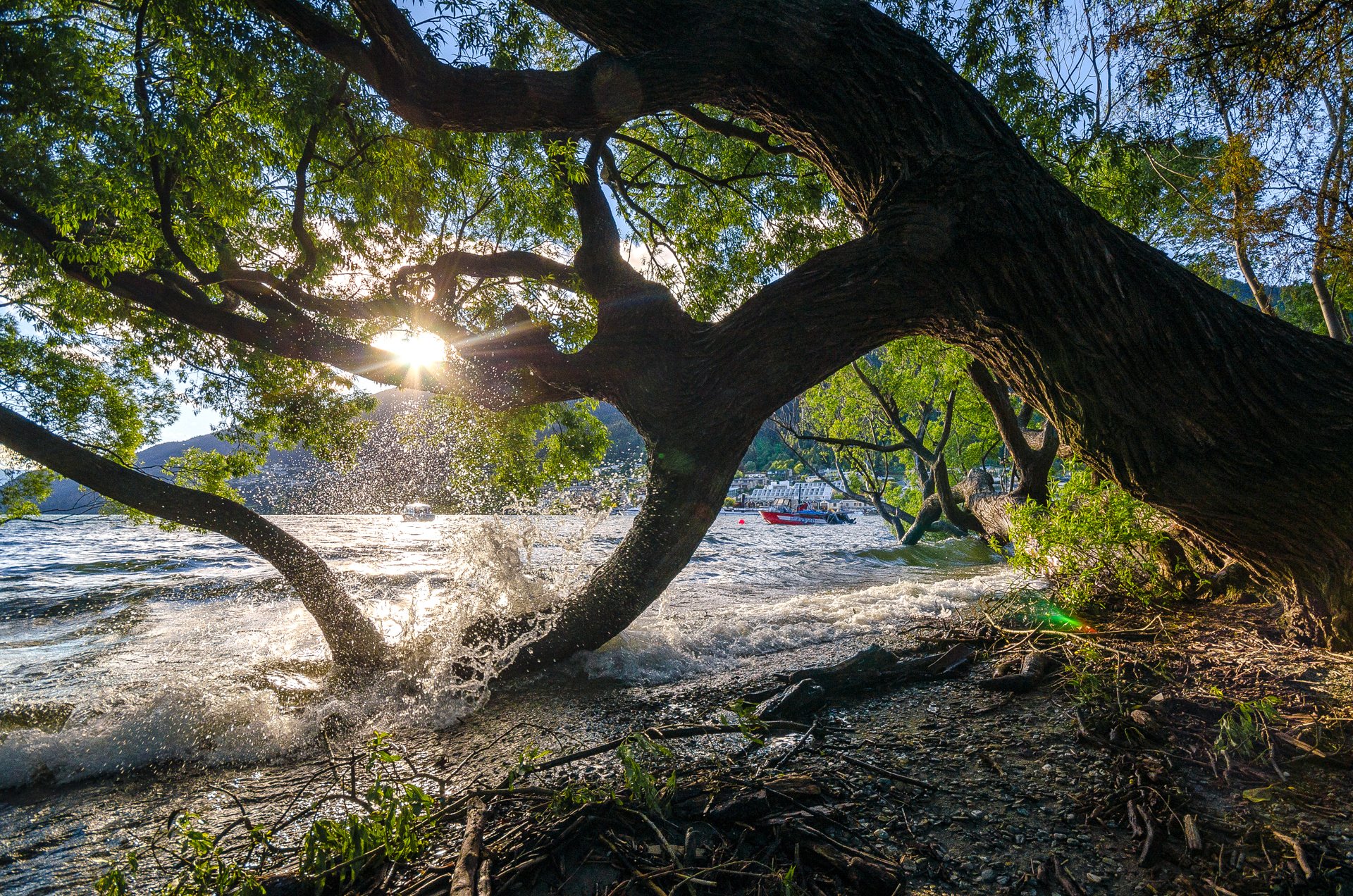 nueva zelanda árbol agua lago cielo montañas barco puesta del sol