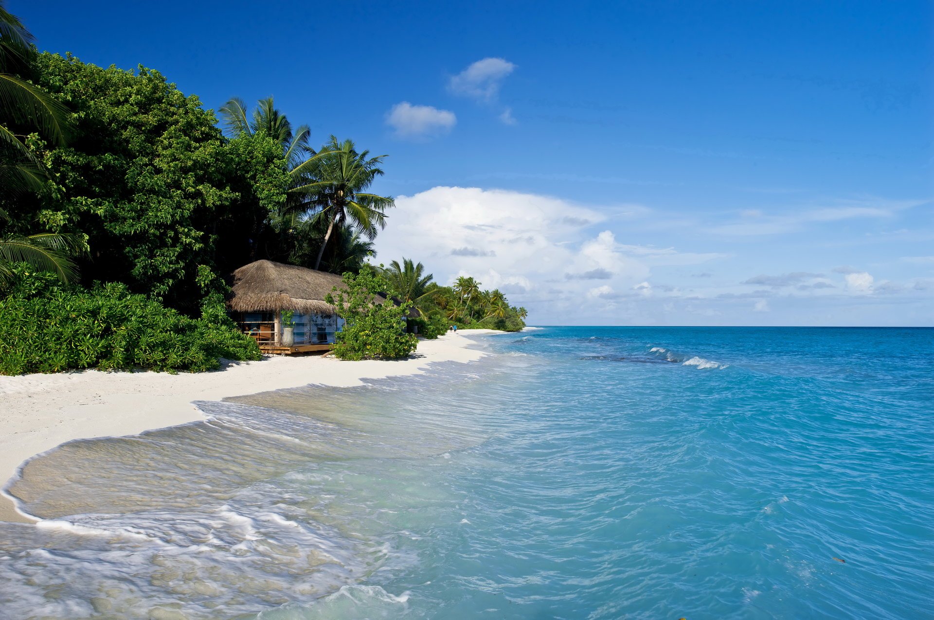 kuramathi the maldives tropics sea beach sand palm hut