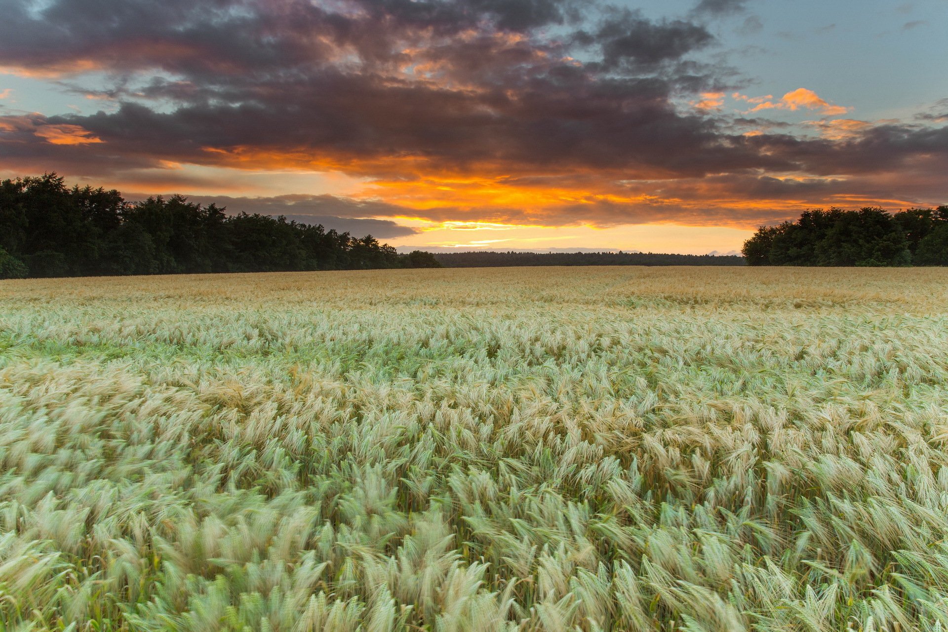 unset the field nature landscape